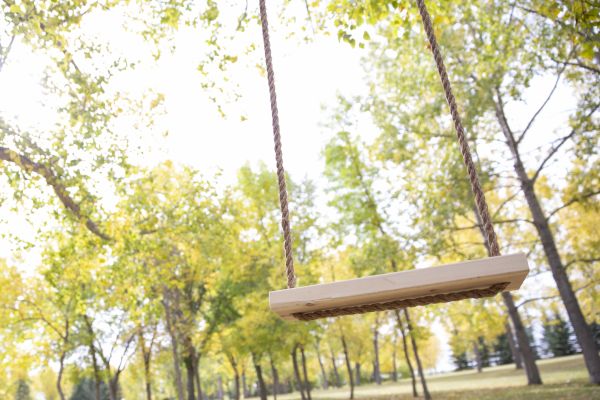 Cost of Tree Swing Installation in Westerville