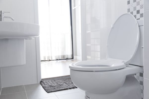 Cost of Toilet Seat Installation in Westerville