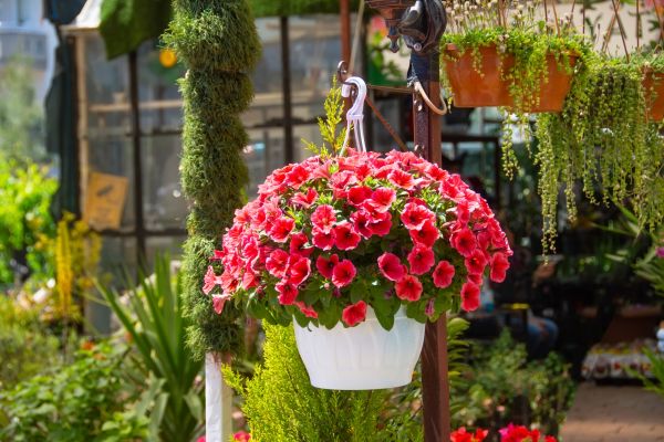 Cost of Hanging Planter Installation in Westerville