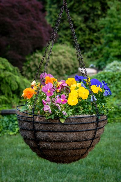 Cost of Hanging Basket Installation in Westerville