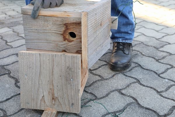 Cost of Birdhouse Mounting in Westerville