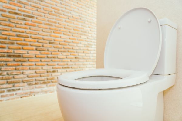 Cost of Toilet Seat Repair in Westerville